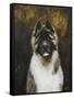 American Akita-Solveiga-Framed Stretched Canvas