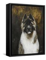 American Akita-Solveiga-Framed Stretched Canvas