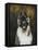 American Akita-Solveiga-Framed Stretched Canvas