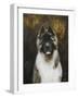 American Akita-Solveiga-Framed Giclee Print