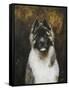 American Akita-Solveiga-Framed Stretched Canvas