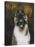 American Akita-Solveiga-Stretched Canvas