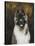 American Akita-Solveiga-Stretched Canvas