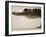 American Alligator, Everglades National Park, Florida, USA-Joe McDonald-Framed Photographic Print