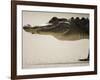 American Alligator, Everglades National Park, Florida, USA-Joe McDonald-Framed Photographic Print