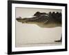 American Alligator, Everglades National Park, Florida, USA-Joe McDonald-Framed Photographic Print