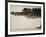 American Alligator, Everglades National Park, Florida, USA-Joe McDonald-Framed Photographic Print