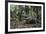 American Alligator in Forest. Little St Simons Island, Georgia-Pete Oxford-Framed Photographic Print