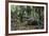 American Alligator in Forest. Little St Simons Island, Georgia-Pete Oxford-Framed Photographic Print