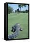 American Alligator on Golf Course-null-Framed Stretched Canvas