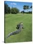 American Alligator on Golf Course-null-Stretched Canvas