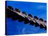 American Alligator Tail Details, Everglades National Park, Florida, USA-Adam Jones-Stretched Canvas