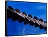 American Alligator Tail Details, Everglades National Park, Florida, USA-Adam Jones-Framed Stretched Canvas