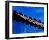 American Alligator Tail Details, Everglades National Park, Florida, USA-Adam Jones-Framed Premium Photographic Print