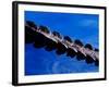 American Alligator Tail Details, Everglades National Park, Florida, USA-Adam Jones-Framed Photographic Print