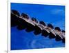 American Alligator Tail Details, Everglades National Park, Florida, USA-Adam Jones-Framed Photographic Print