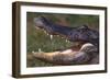 American Alligator with Jaws Open-DLILLC-Framed Photographic Print