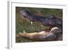 American Alligator with Jaws Open-DLILLC-Framed Photographic Print