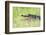 American Alligator-Gary Carter-Framed Photographic Print