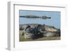 American Alligators Sunning, Myakka River, Myakka River Sp, Florida-Maresa Pryor-Framed Photographic Print