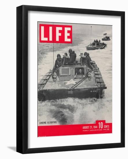 American Amphibious Tractors, Alligators, in action, August 21, 1944-John Florea-Framed Photographic Print