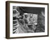 American and French Troops in a Trench at the Front, 1917-1918-null-Framed Giclee Print