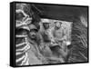 American and French Troops in a Trench at the Front, 1917-1918-null-Framed Stretched Canvas