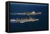 American and Russian Military Vessels Offshore of Puerto Rico-Frank Cancellare-Framed Stretched Canvas