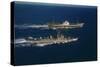 American and Russian Military Vessels Offshore of Puerto Rico-Frank Cancellare-Stretched Canvas