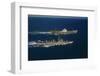 American and Russian Military Vessels Offshore of Puerto Rico-Frank Cancellare-Framed Photographic Print