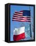 American and Texan Flags, Texas, USA-Ethel Davies-Framed Stretched Canvas