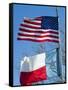 American and Texan Flags, Texas, USA-Ethel Davies-Framed Stretched Canvas
