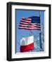 American and Texan Flags, Texas, USA-Ethel Davies-Framed Photographic Print