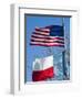 American and Texan Flags, Texas, USA-Ethel Davies-Framed Photographic Print