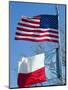 American and Texan Flags, Texas, USA-Ethel Davies-Mounted Photographic Print