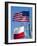 American and Texan Flags, Texas, USA-Ethel Davies-Framed Photographic Print