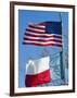 American and Texan Flags, Texas, USA-Ethel Davies-Framed Photographic Print