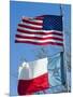 American and Texan Flags, Texas, USA-Ethel Davies-Mounted Photographic Print