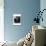 American Antiques: Camera-Nicolas Hugo-Mounted Giclee Print displayed on a wall