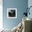 American Antiques: Camera-Nicolas Hugo-Framed Giclee Print displayed on a wall