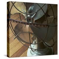 American Antiques: Fan-Nicolas Hugo-Stretched Canvas