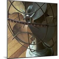 American Antiques: Fan-Nicolas Hugo-Mounted Giclee Print