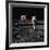 American Astronaut Edwin "Buzz" Aldrin Walking on the Moon on July 20, 1969-null-Framed Photo