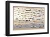 American Aviation: Early Years, 1903-1945-null-Framed Art Print