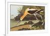 American Avocet-John James Audubon-Framed Premium Giclee Print