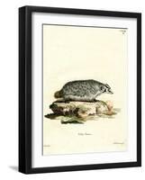 American Badger-null-Framed Giclee Print