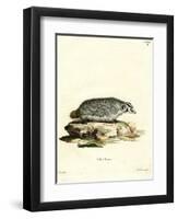 American Badger-null-Framed Giclee Print