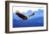 American Bald Eagle Alaska-null-Framed Art Print