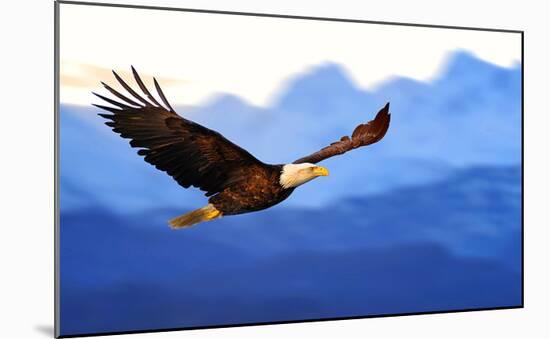 American Bald Eagle Alaska-null-Mounted Art Print