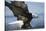 American Bald Eagle Fishing-null-Stretched Canvas